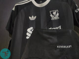 Liverpool Goalkeeper T-shirt 25/26, Showroom Quality with EPL Font